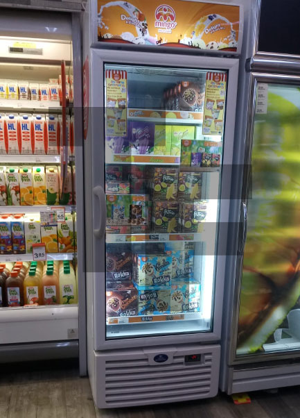 Mingo Sanden SNR 0503 Upright Freezers