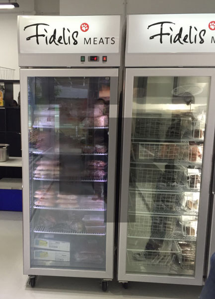 Fidelis GDF 700 Single Door Freezer