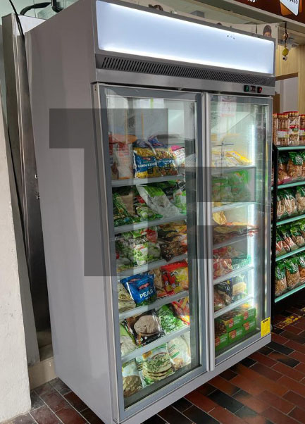 Trima 2 Door Freezer
