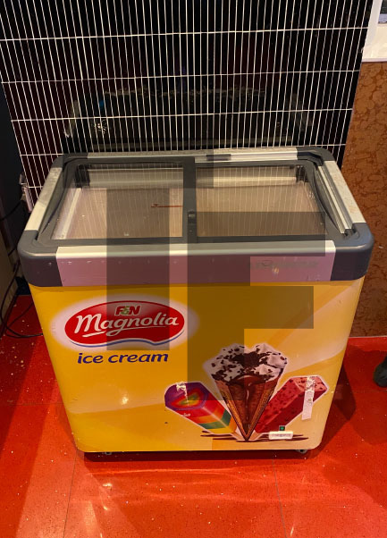 Magnolia Liebherr EFE 1102 Ice Cream Freezer