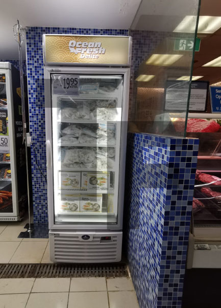 Ocean Fresh Sanden Upright Freezer